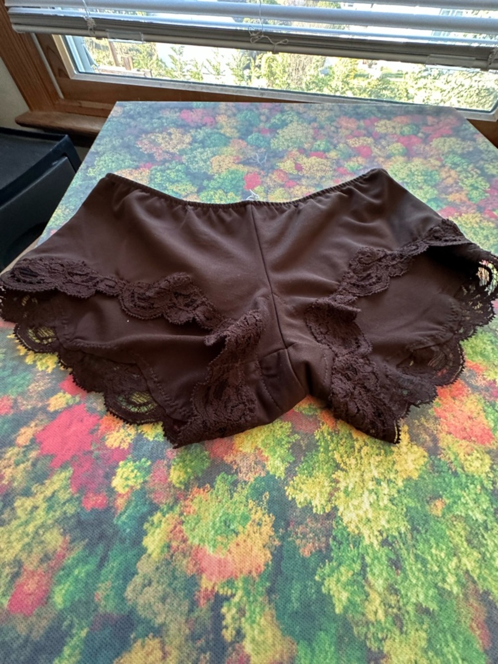 Only Hearts Chocolate Brown Lace Hipster Panties Small nwt
